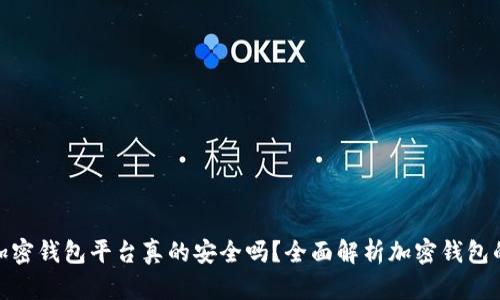 安全的加密钱包平台真的安全吗？全面解析加密钱包的安全性