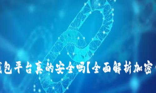 安全的加密钱包平台真的安全吗？全面解析加密钱包的安全性